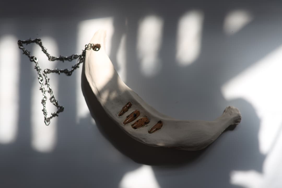 MMÑ (Materiality and Memories of Ñiquiñaque)