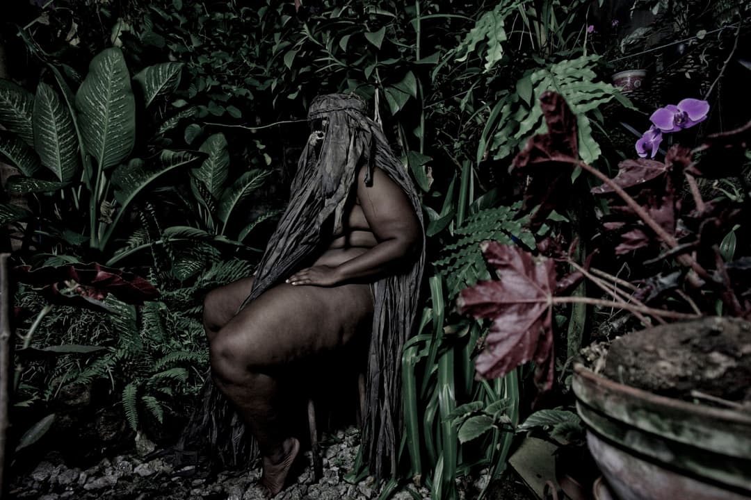 Flora