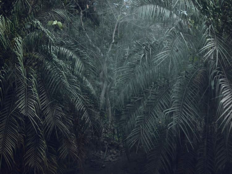 The Palm Descends; The Beginning is the End and the End is the Beginning series